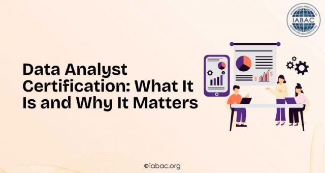 Data Analyst Certification: What It Is and Why It Matters